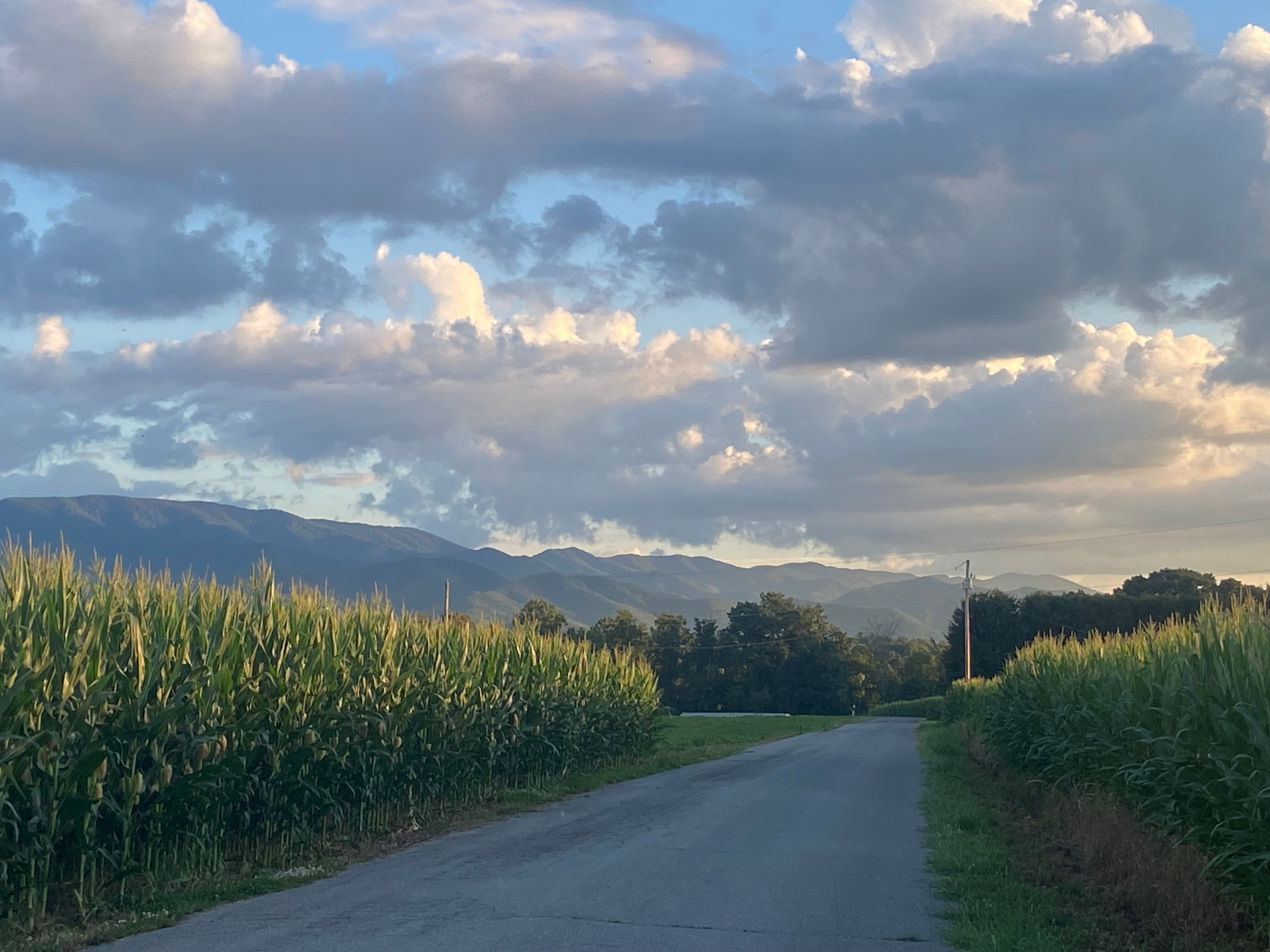 How do I get rid of a corn on my toe? - DrGaffneyBestFoot