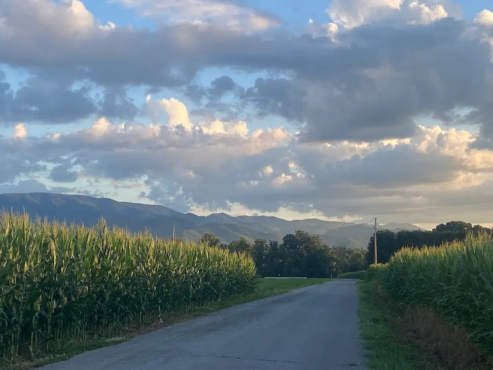 How do I get rid of a corn on my toe?